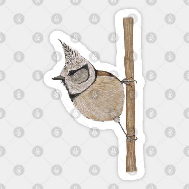 Crested tit Sticker by Bwiselizzy